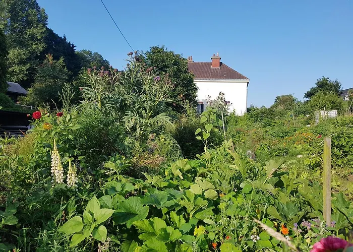Bed and Breakfast Les Lupins Étretat