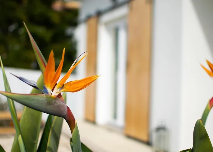 Casa-Simplicity Gelder Zetten Lda
