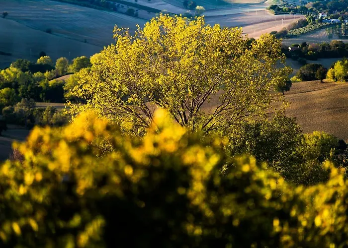 B&B Al Chicco d'Uva Morro dʼAlba