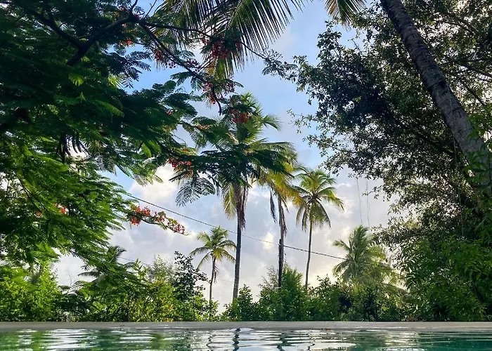 Bellevue Zanzibar Bed and Breakfast Bwejuu