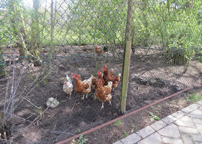 B&B de Berghoeve Ruinen