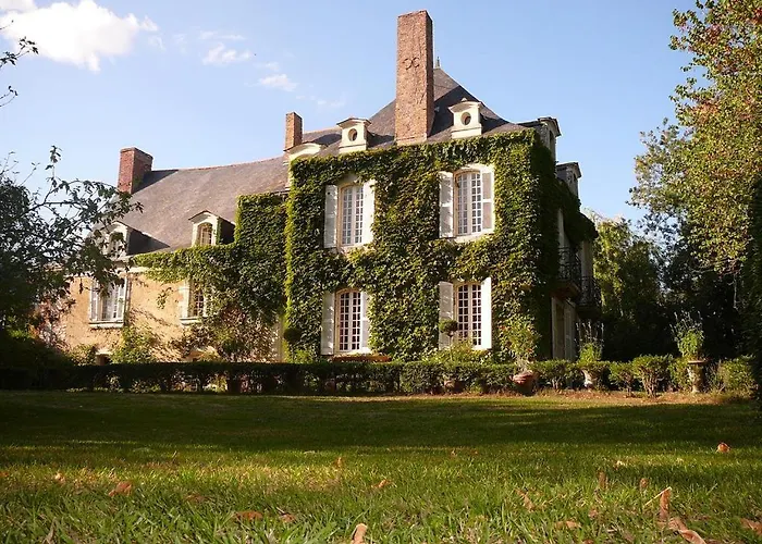 Bed and Breakfast La Marronniere à Cheffes-sur-Sarthe