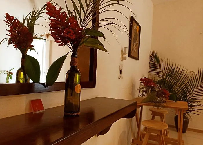 Casa De Los Pájaros - B&B Valladolid 