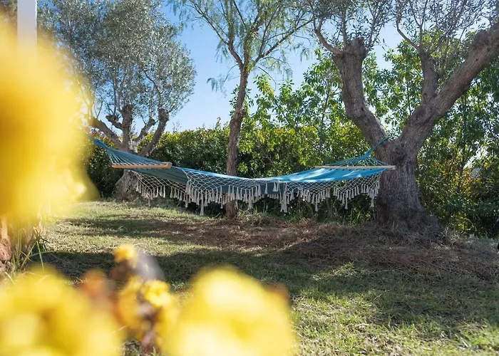 Bed and breakfast Gato Preto De Silves - Adults Only
