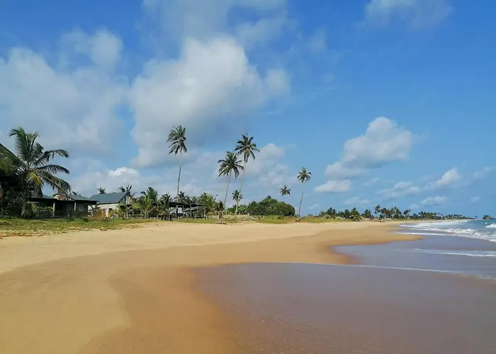 Afro Beach Eco Resort Butre