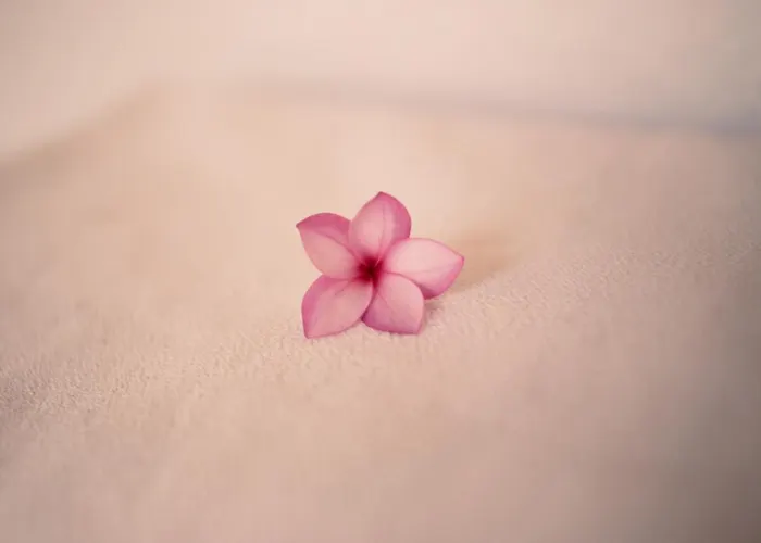 Casa Mayo B&B Oaxaca