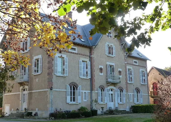 Le Chateau De La Brosse Bed and Breakfast Brinay 