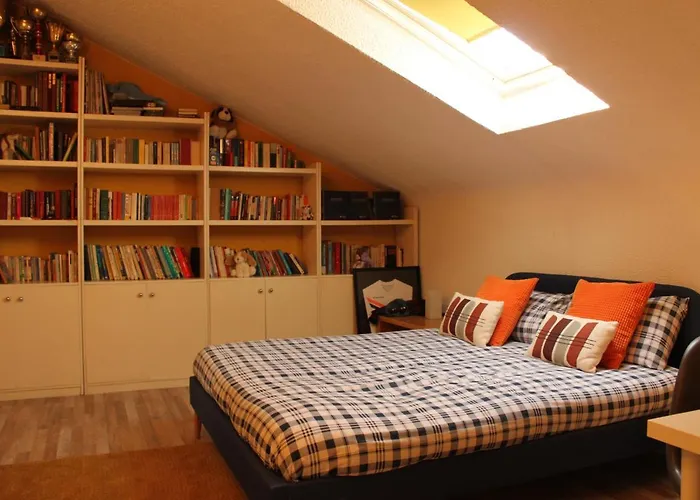 B&B La Gare No IDF Tzahal IFO IOF Magenta