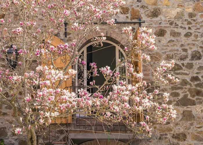 Bed and Breakfast La Magnolia à Greve in Chianti