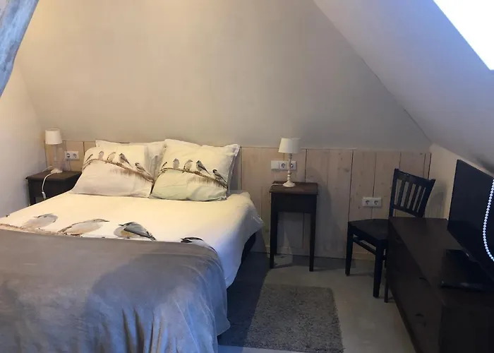 Slaopen en Stoet Bed and Breakfast Anderen