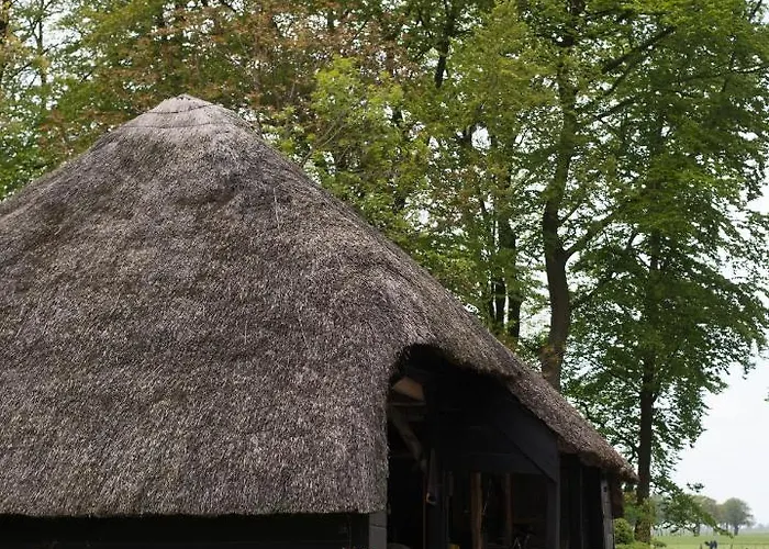 B&B Buitenplaats Natuurlijk Goed Oosterwolde 