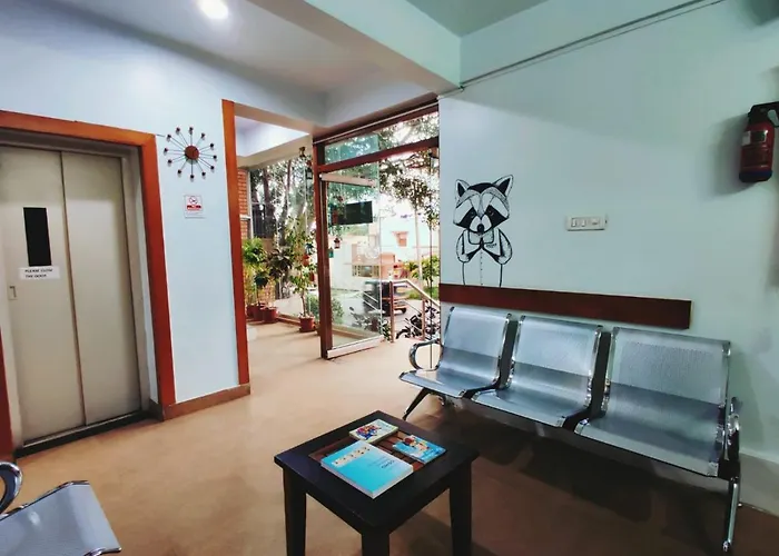 Raccoon Rooms Maiçor