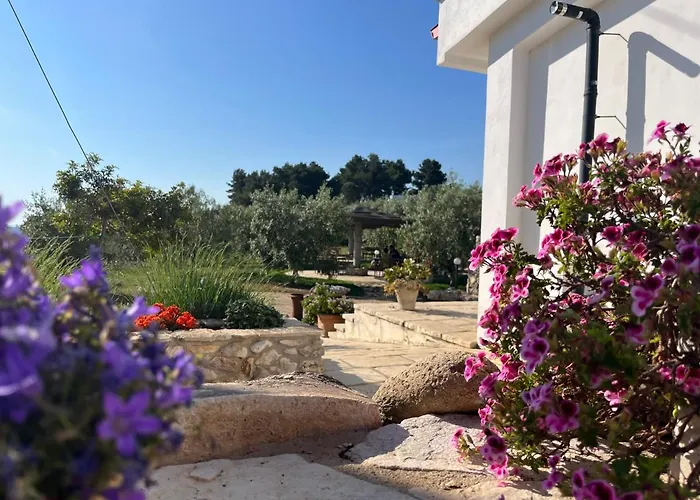 B&B Le Cicale Vieste