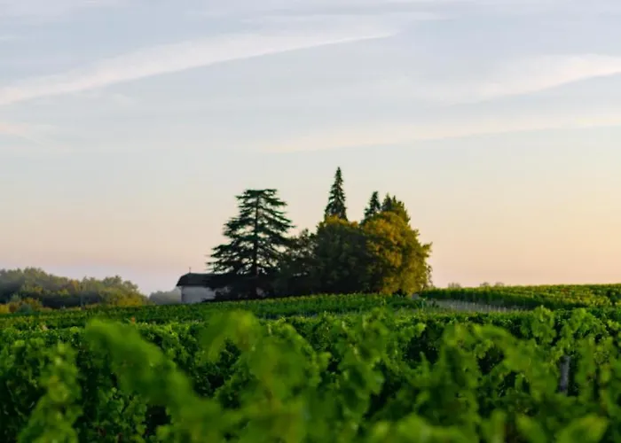 Vandenbeld Wines B&B Minzac