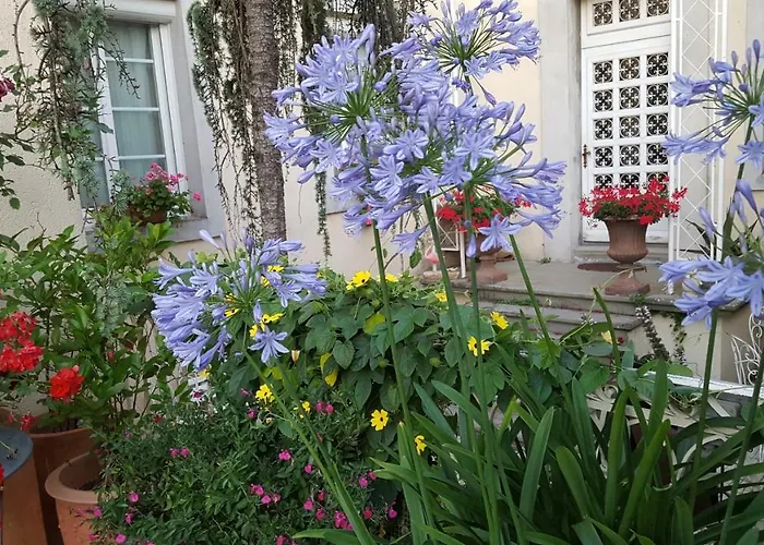 La Belle Vie B&B Montréal