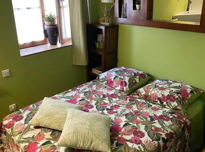 Lyon City Home'S Bed & Breakfast Villeurbanne