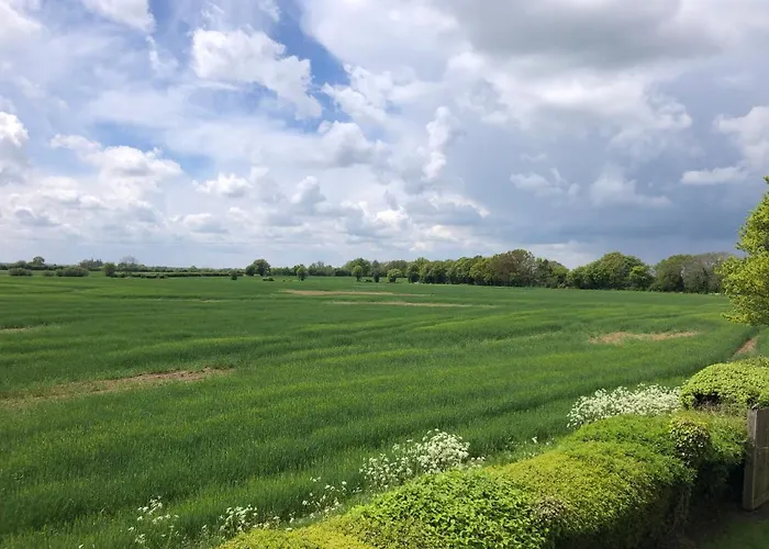 Acreland Green