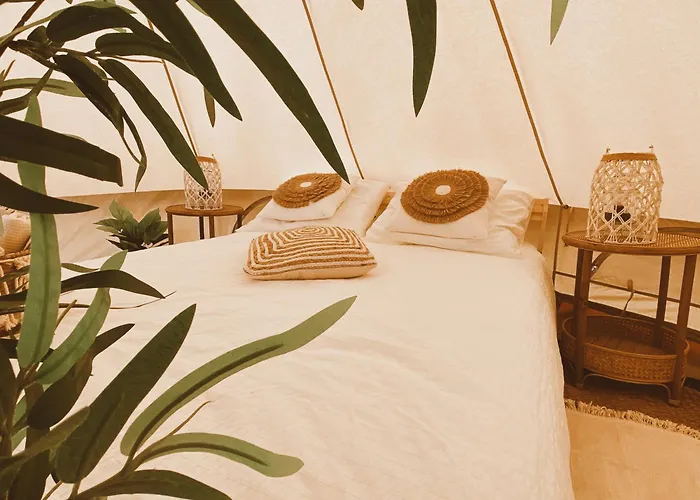 Het Caravannetje B&B - Retro Glamping Leidschendam