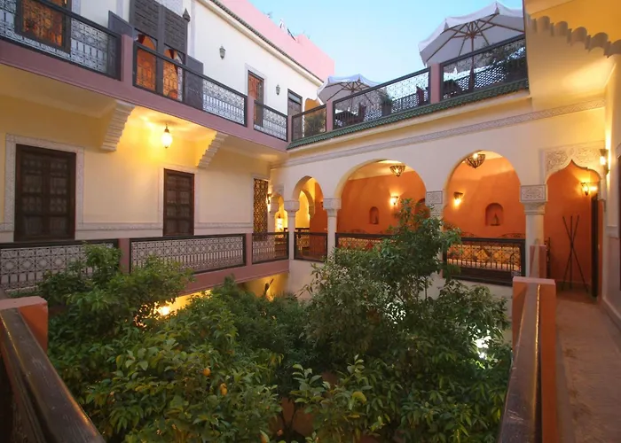 Riad Sidi Ayoub