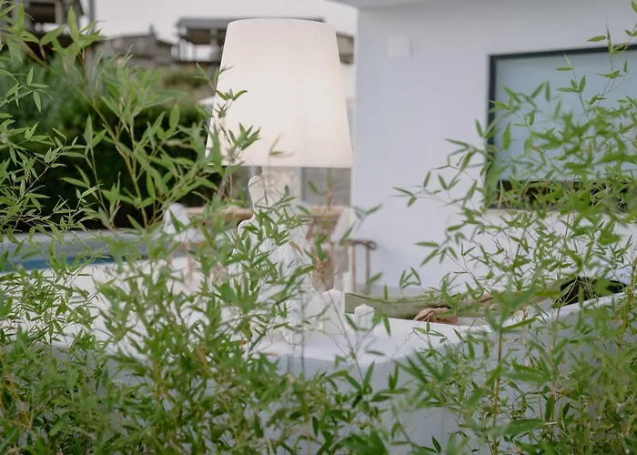 Dimora Manfredo Eco B&B Luxury San Nicola Arcella