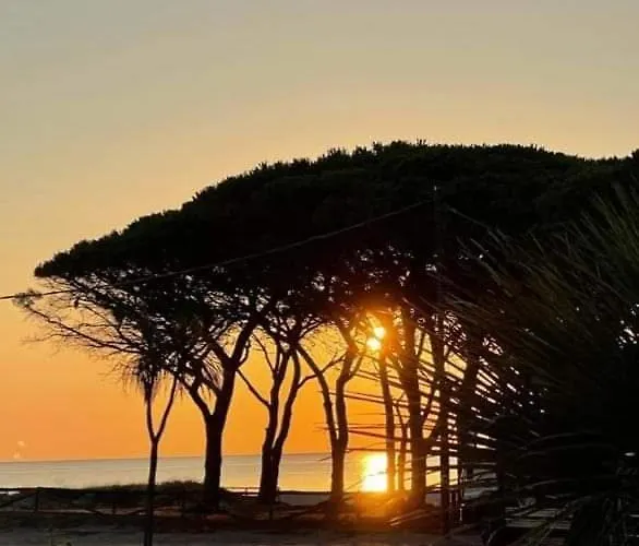 Bed and Breakfast La Perla Del Mare La Caletta