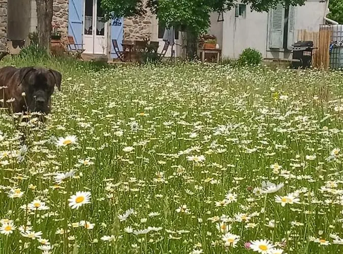 Bed and Breakfast La Taniere Champs-Sur-Tarentaine-Marchal