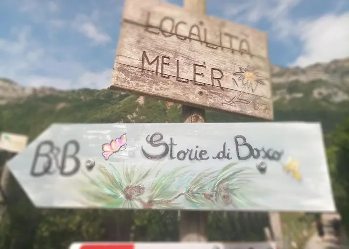 Storie Di Bosco