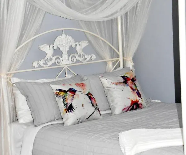 Seabank House Bed And Breakfast Hummingbird Pictou