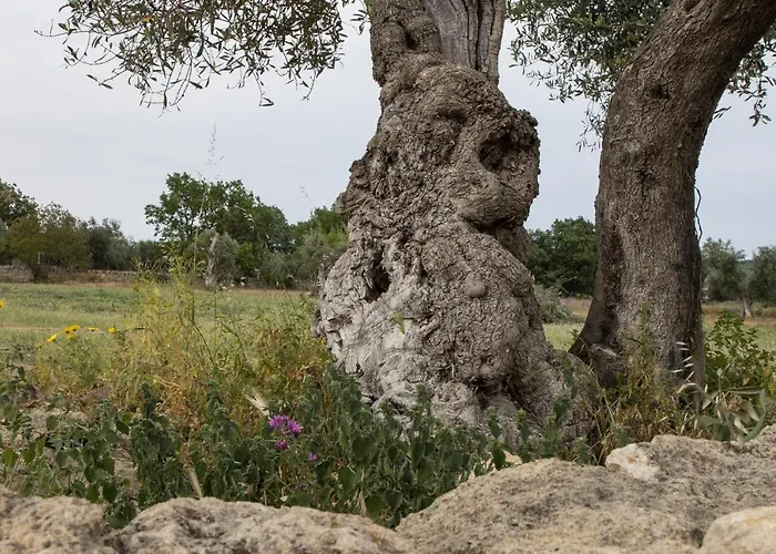 Bed and Breakfast Ych-Le Grotte Di Sileno Castellaneta