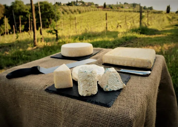 Agriturismo Fattoria le caprine Gambassi Terme