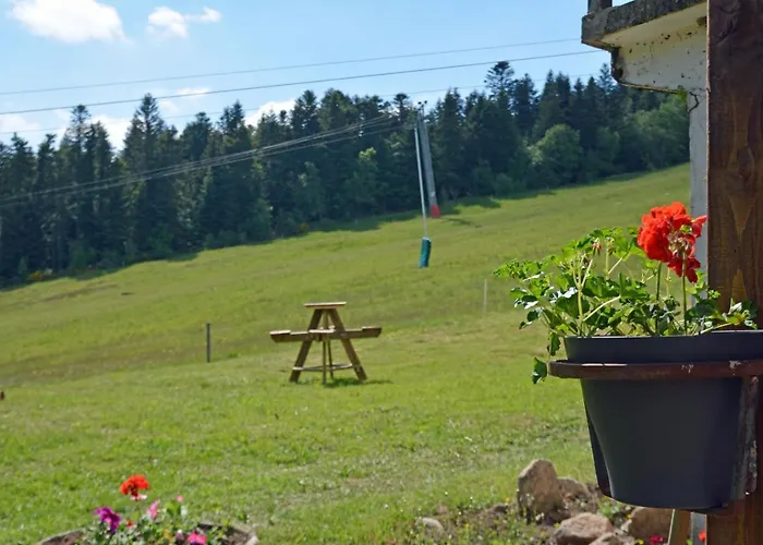 Echo Des Montagnes Bed & Breakfast Chalmazel-Jeansagniere