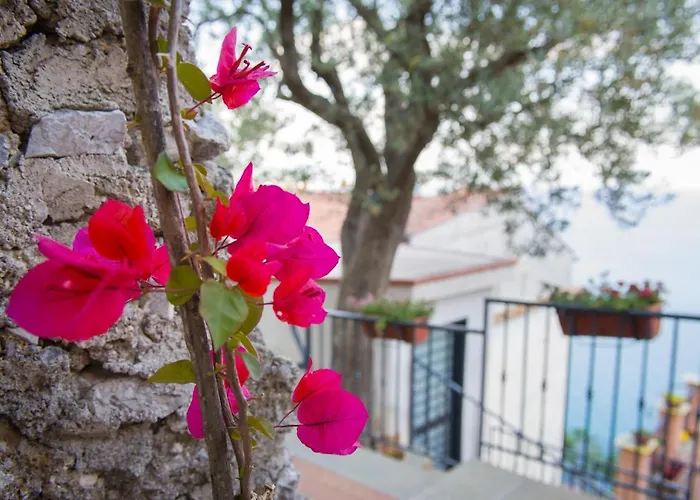 Il Glicine Bed and Breakfast Cetara