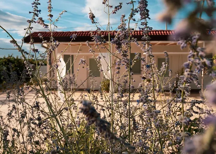 B&B La Ferula Altamura