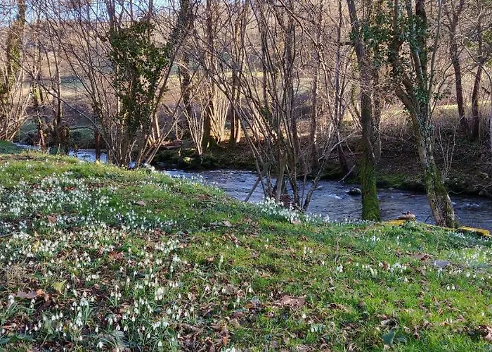 La Ciboulette Bed and Breakfast Foix