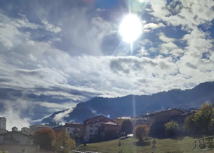 Storie Di Bosco