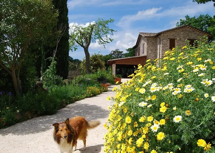 Bed and Breakfast Casale il Cerqueto San Severino Marche