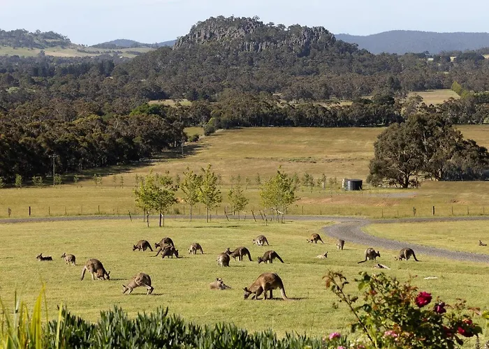 Hanging Rock Views