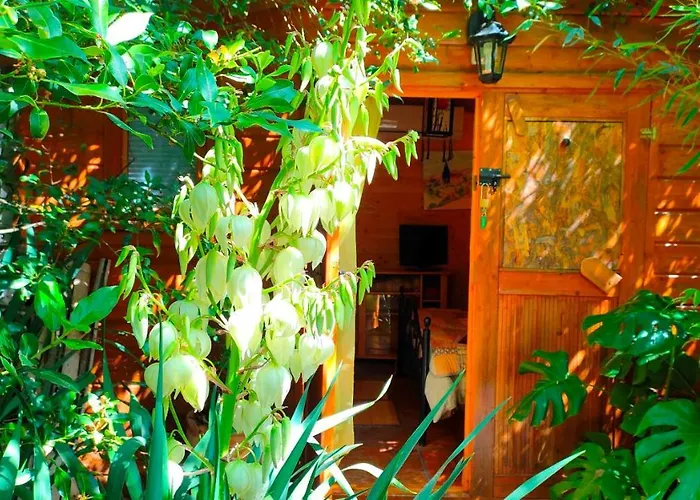 Le Portel des Arnaud Chambres d'Hôtes