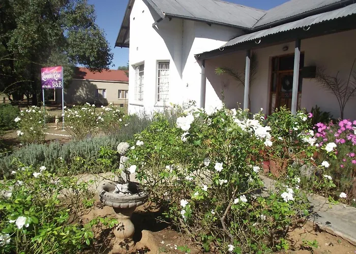 Lavender Rose Bed and Breakfast Bethulie