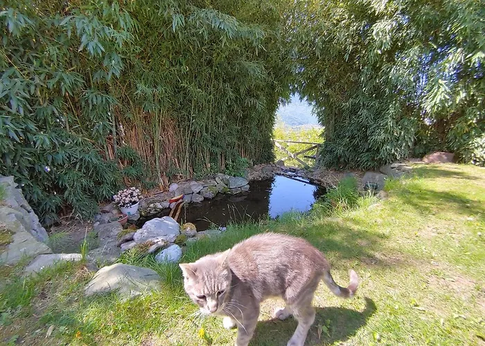 Bed & Breakfast Valtellina Castione Andevenno