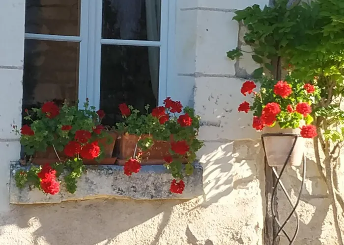Le Clos des Fayes