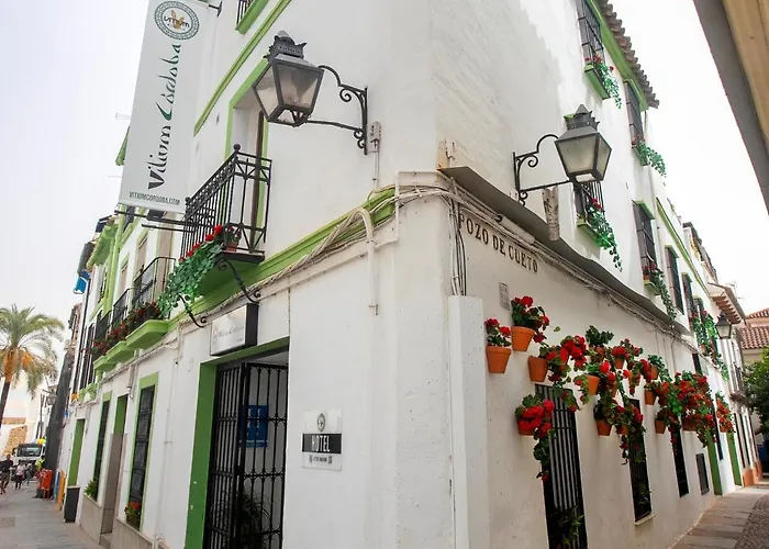 Vitium Córdoba