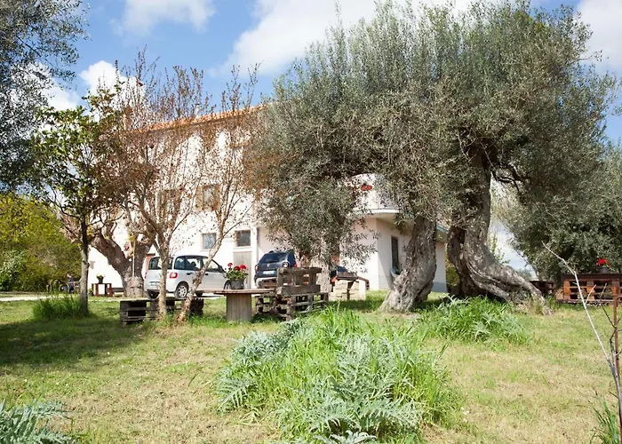 Le Piume B&B Cupramontana