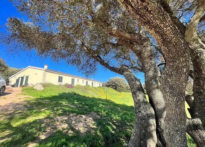 Bed and Breakfast La Striscia Larga San Pasquale