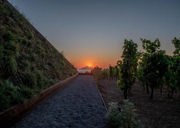 Tenuta Di Castellaro Winery & Resort
