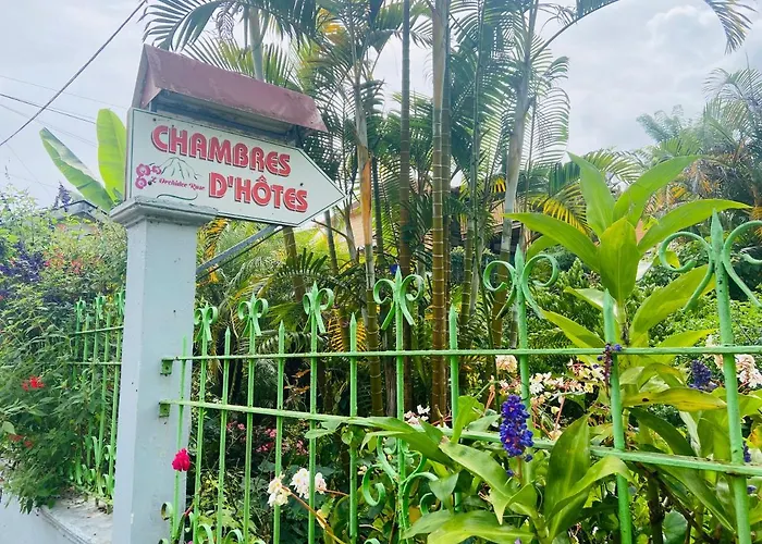 Chambres d'hôtes l'Orchidée Rose