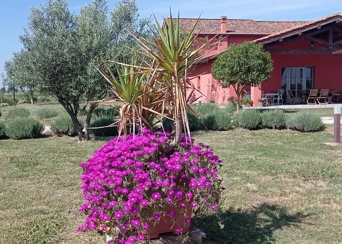 Bed and Breakfast Il Casale Di Giulia Di Aprilia