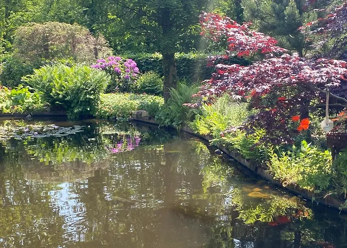 B&B. Het Hunebed Rolde