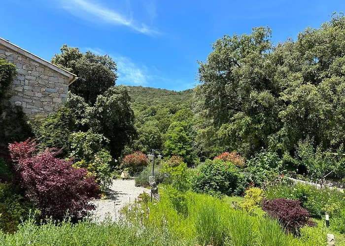 Maison d'Hôtes Zella Bains de Guitera