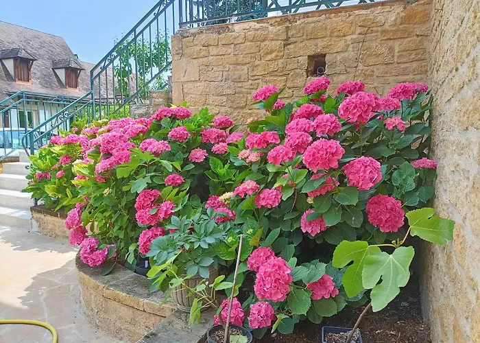 La Villa Perigourdine Sarlat